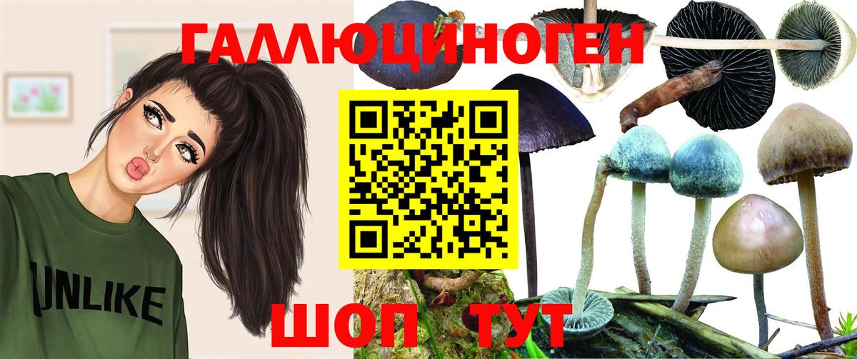 Галлюциногенные грибы Psilocybe Анжеро-Судженск