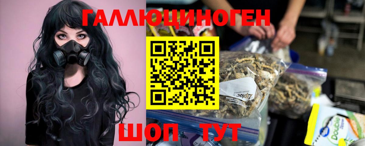 Галлюциногенные грибы Magic Shrooms  купить закладку  Анжеро-Судженск  Вход с VPN 
